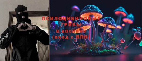 дмт Вяземский