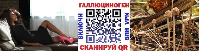 Галлюциногенные грибы MAGIC MUSHROOMS  где найти   Задонск 